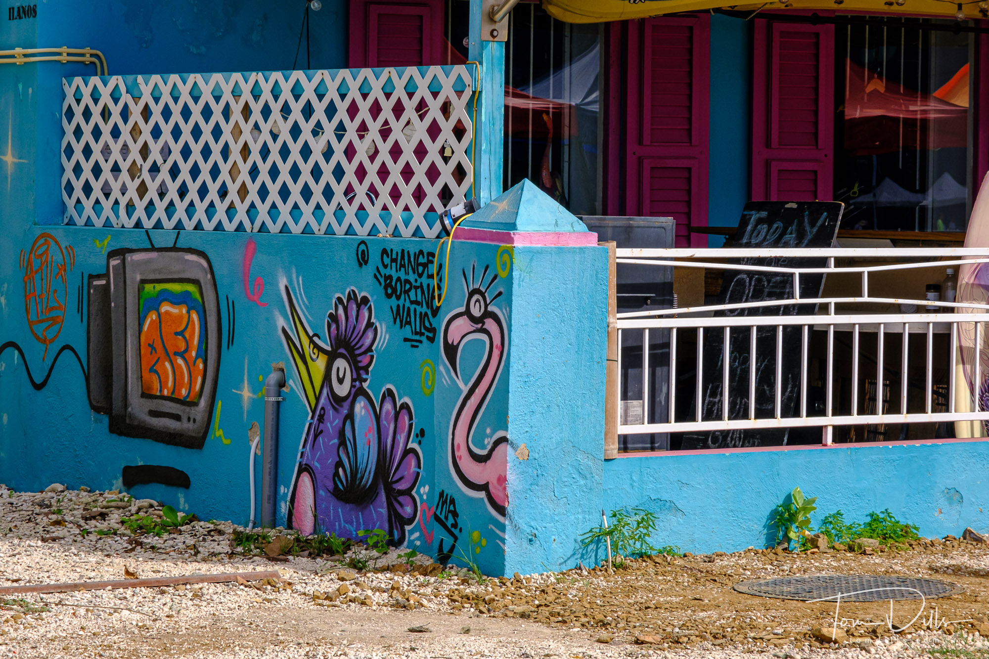 A Visit To Bonaire – Tom Dills' Travel & Photography Blog